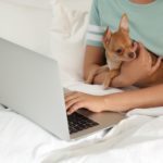 Chihuahua Anzeigen: Finde den passenden Chihuahua für Dich!
