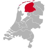Chihuahua Züchter und Welpen in Friesland,