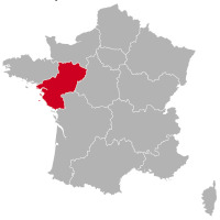 Chihuahua Züchter und Welpen in Pays de la Loire,